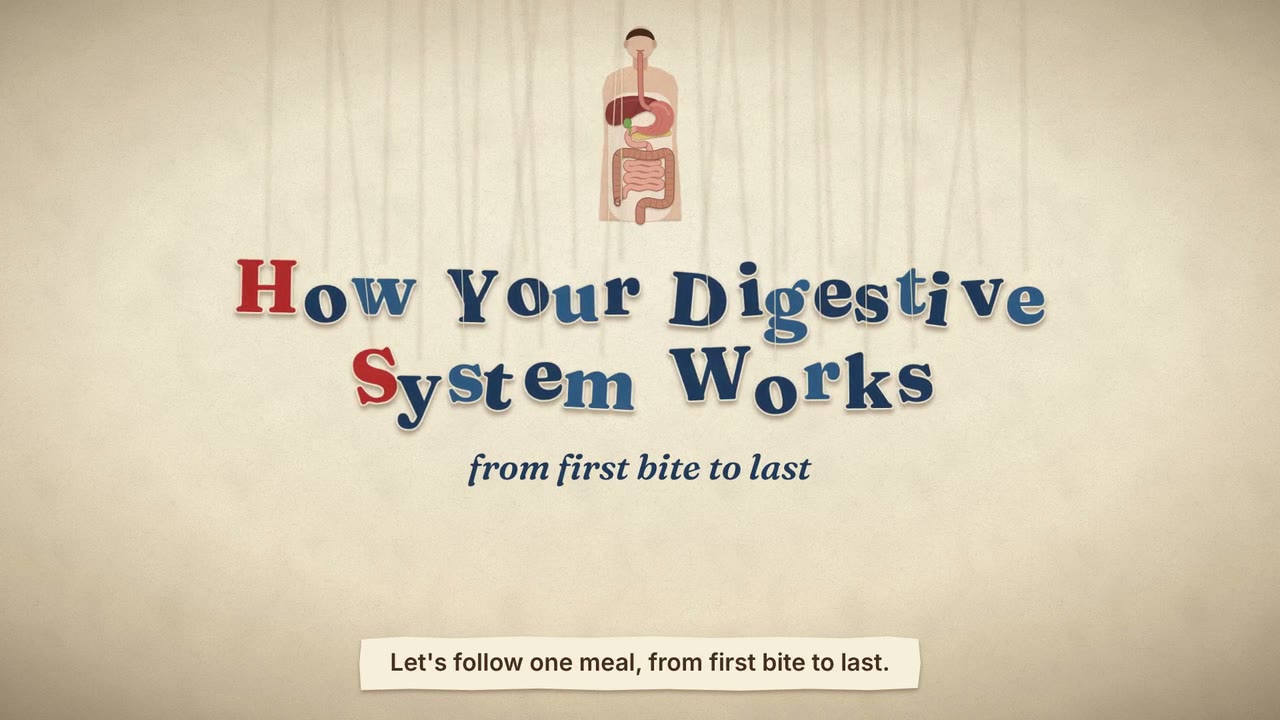 Still from the animated video How Your Digestive System Works